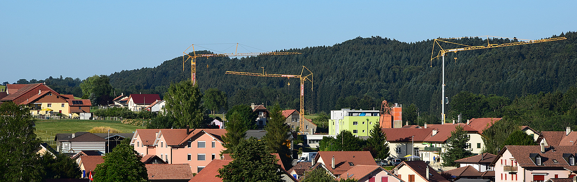 Image - GRUES_DSC_0157.jpg