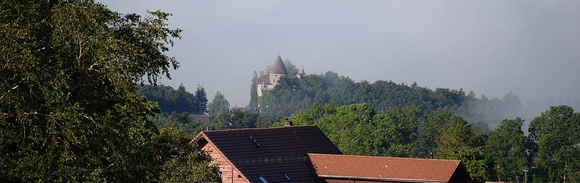 Image - DSC_0098.jpg