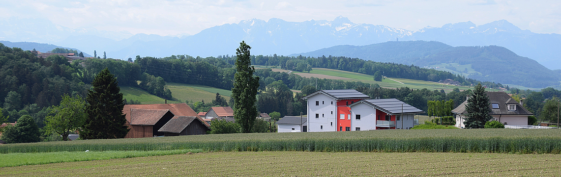 Image - DSC_0007.jpg