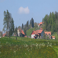 Image - centre_bas_bz.jpg