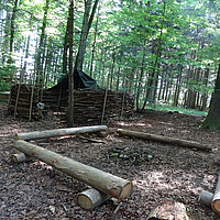 Image - DSC00423_canape.JPG