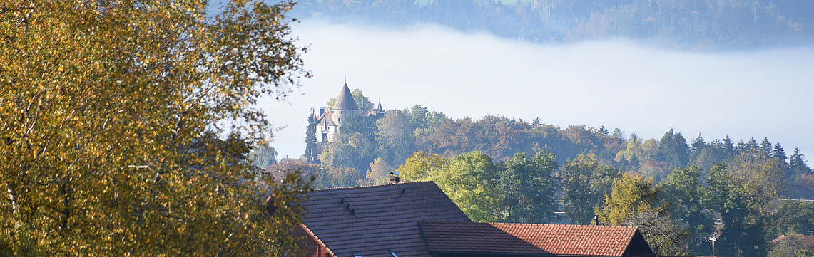 Image - DSC_1079.jpg