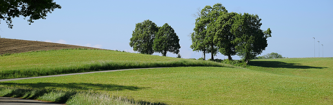Image - DSC_0092.jpg