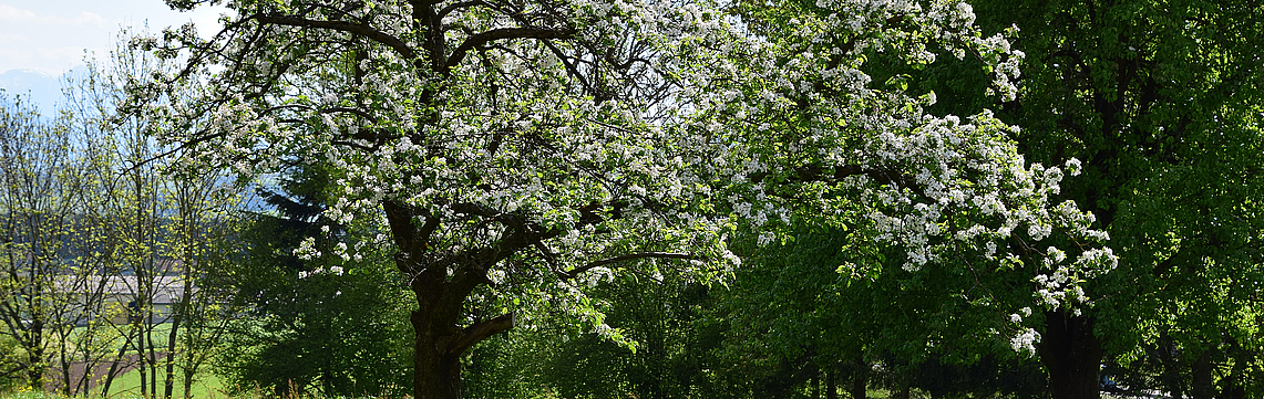 Image - DSC_0408.jpg